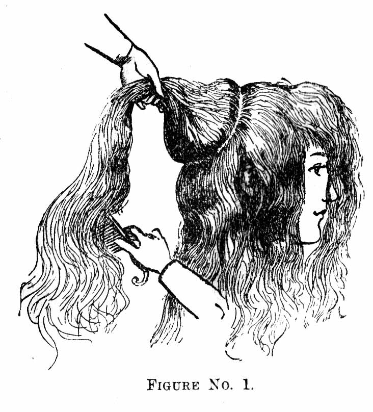 1890 hairstyles and combs